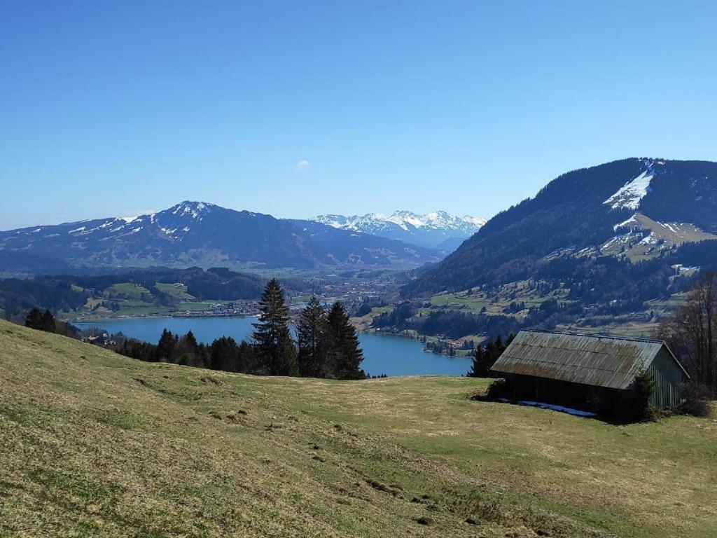 Ferienwohnung Allgaeuglueck Im Ferienpark Oberallgaeu Mit Hallenbad, Sauna, Wlan Missen-Wilhams Eksteriør billede