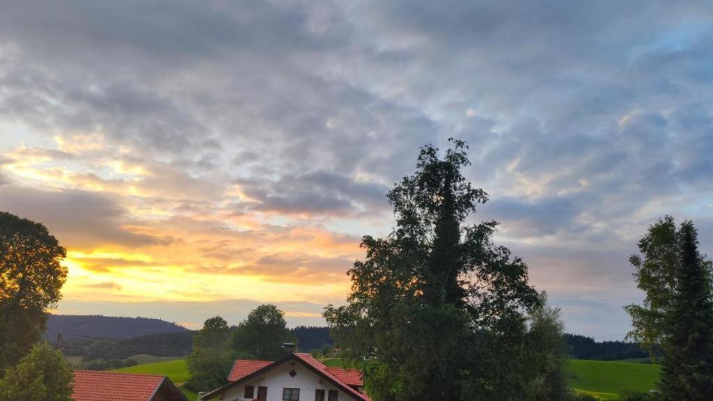 Ferienwohnung Allgaeuglueck Im Ferienpark Oberallgaeu Mit Hallenbad, Sauna, Wlan Missen-Wilhams Eksteriør billede